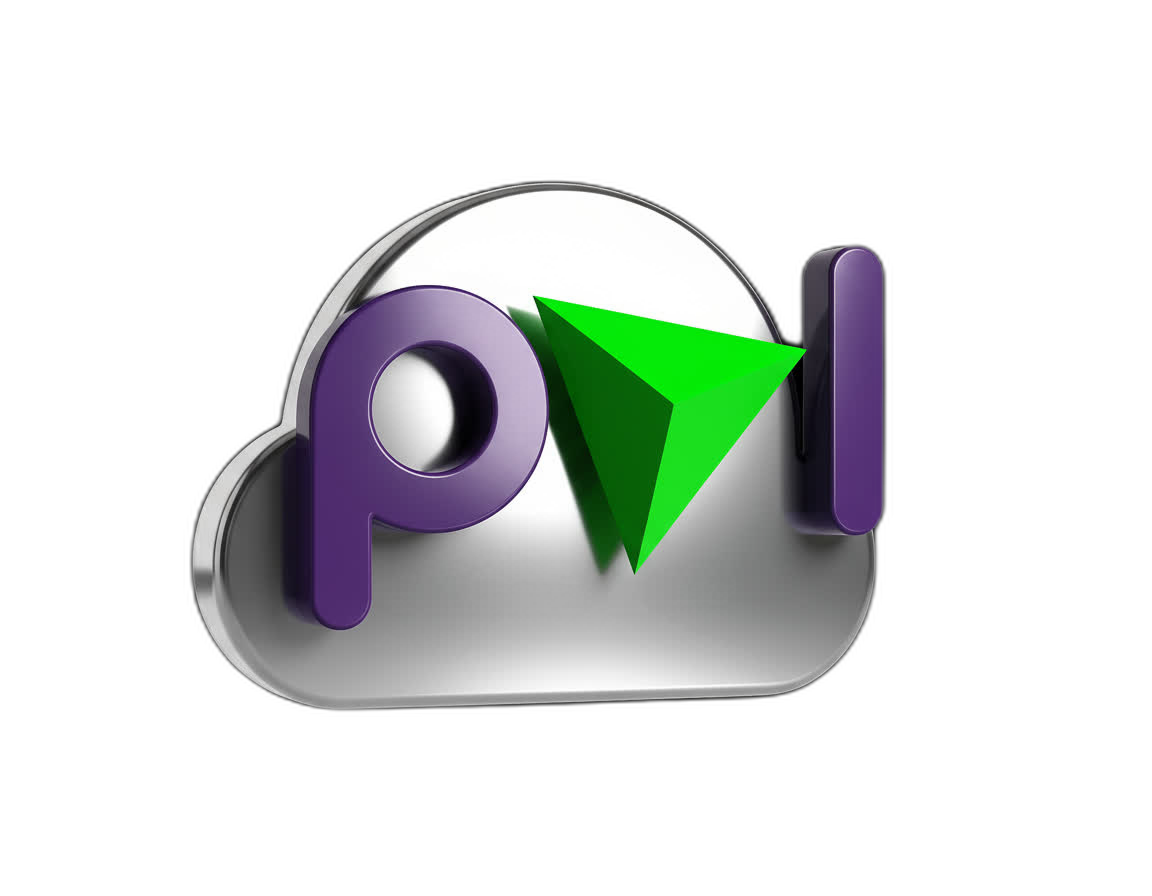 P4L 3D Image